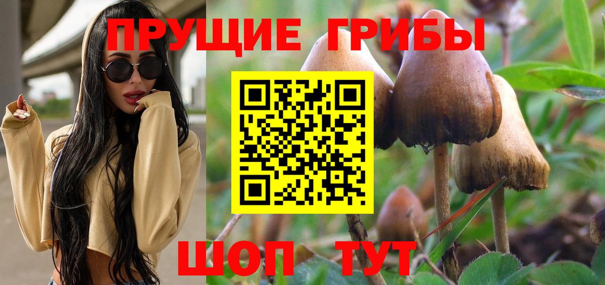 Тимашёвск  Галлюциногенные грибы ЛСД  Вход с VPN 