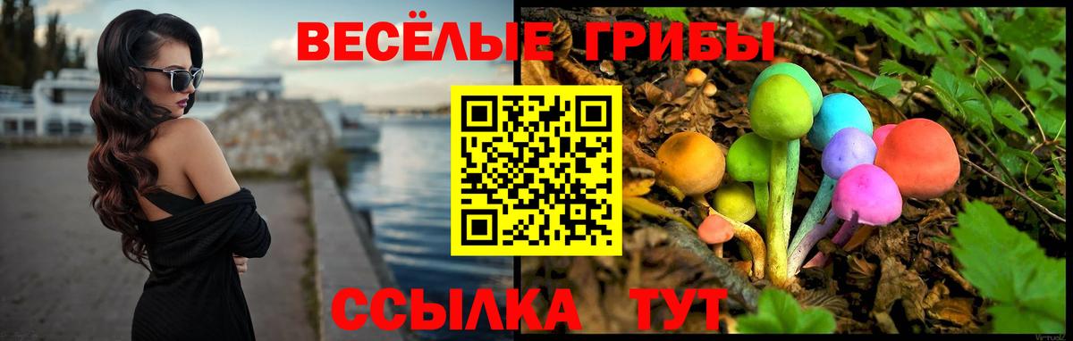 Псилоцибиновые грибы мицелий Тимашёвск