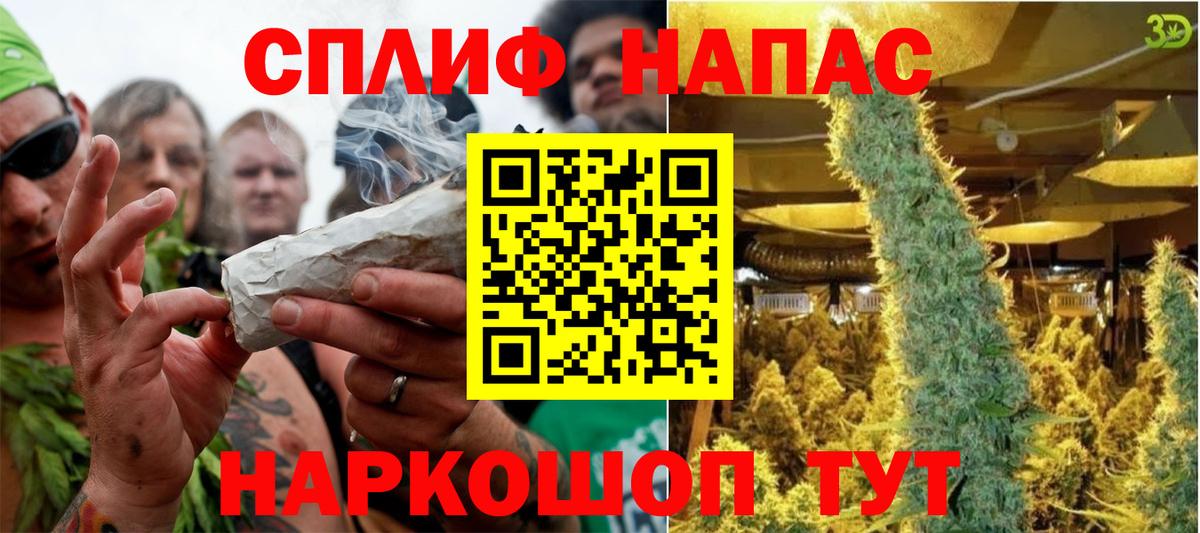 Тимашёвск  Марихуана планчик  Каннабис Amnesia  Вход с VPN  Бошки марихуана план 